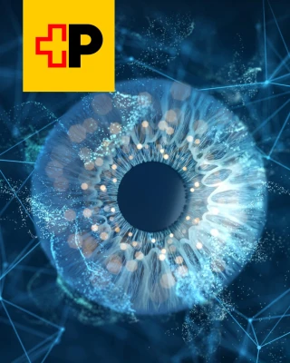 Unsere Erfolgsgeschichten Unsere Erfolgsgeschichten